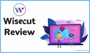 wisecut review